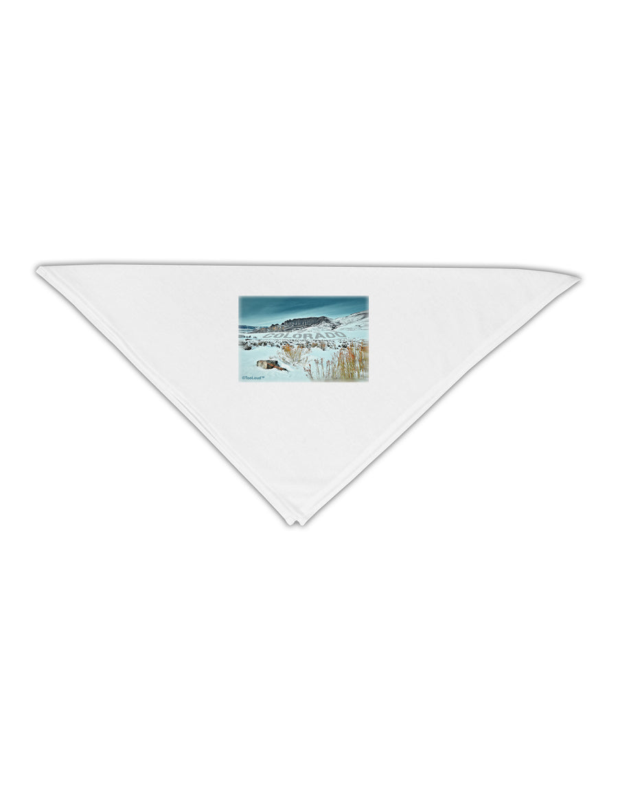 CO Snow Scene Text Adult 19&#x22; Square Bandana-Square Bandanas-TooLoud-White-One-Size-Adult-Davson Sales