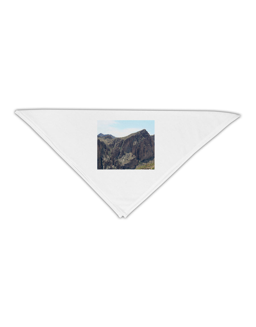 Arizona Saguaro Lake Mountains Adult 19&#x22; Square Bandana-Square Bandanas-TooLoud-White-One-Size-Adult-Davson Sales