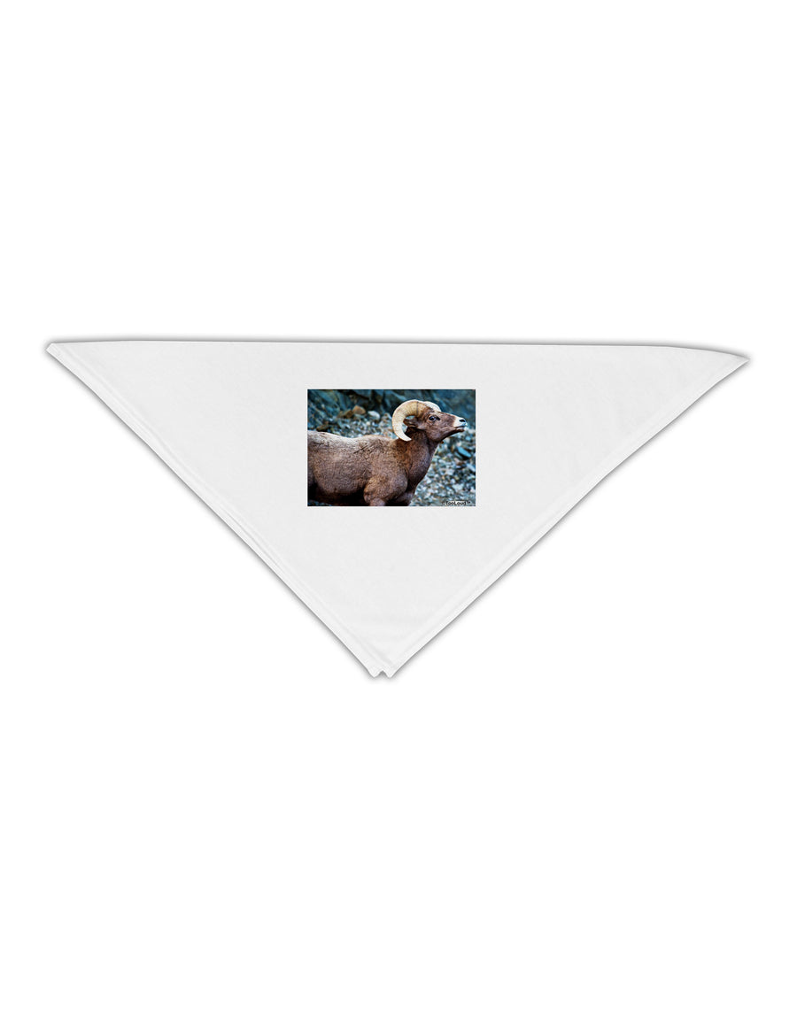 TooLoud Wide Eyed Big Horn Adult 19&#x22; Square Bandana-Square Bandanas-TooLoud-White-One-Size-Adult-Davson Sales