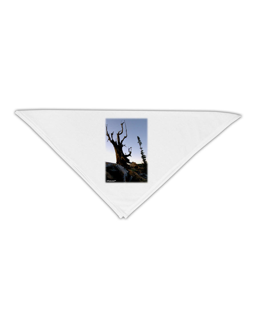 Colorado Mountain Scenery Adult 19&#x22; Square Bandana-Square Bandanas-TooLoud-White-One-Size-Adult-Davson Sales