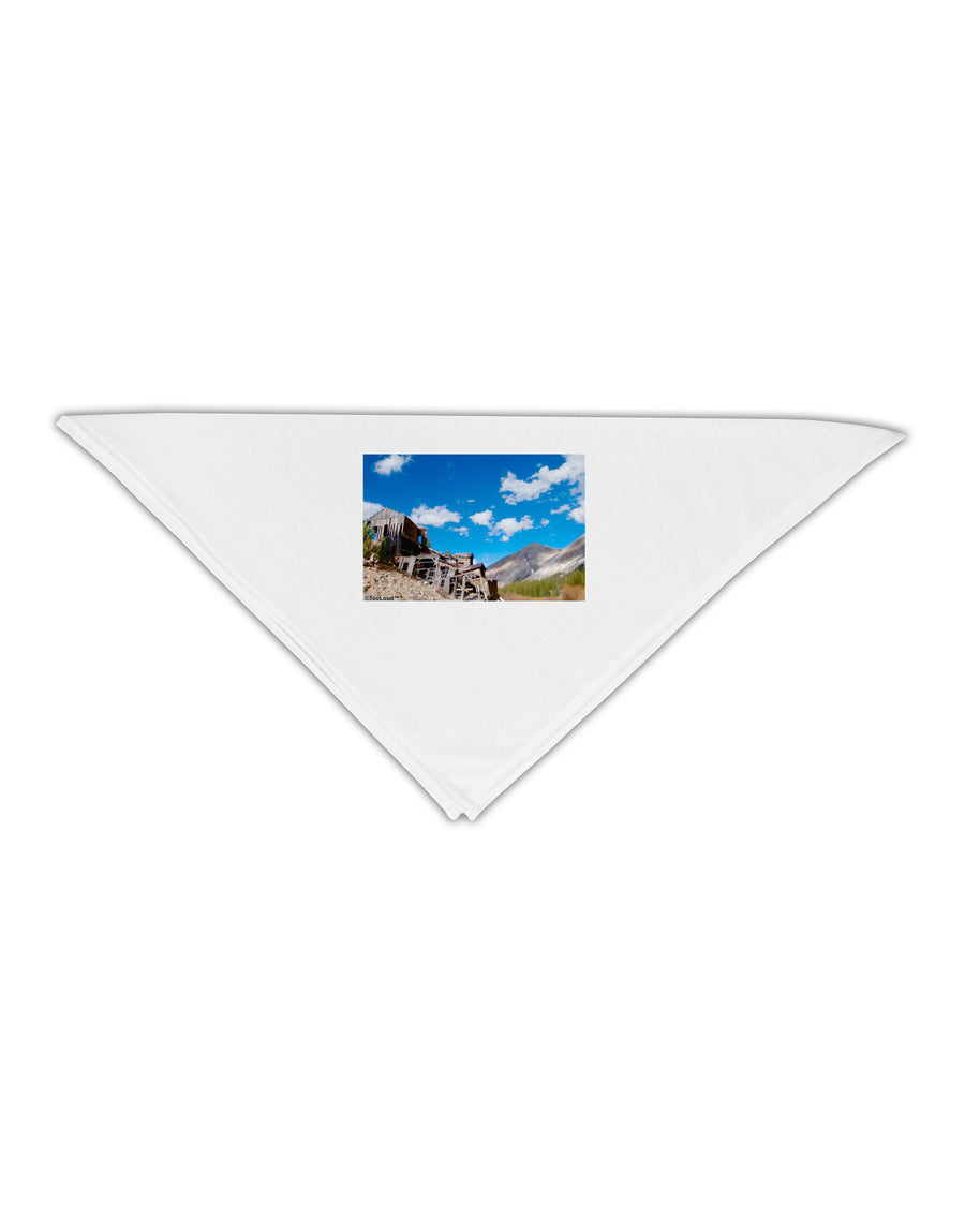 Colorado Landscape Ruins Adult 19&#x22; Square Bandana-Square Bandanas-TooLoud-White-One-Size-Adult-Davson Sales