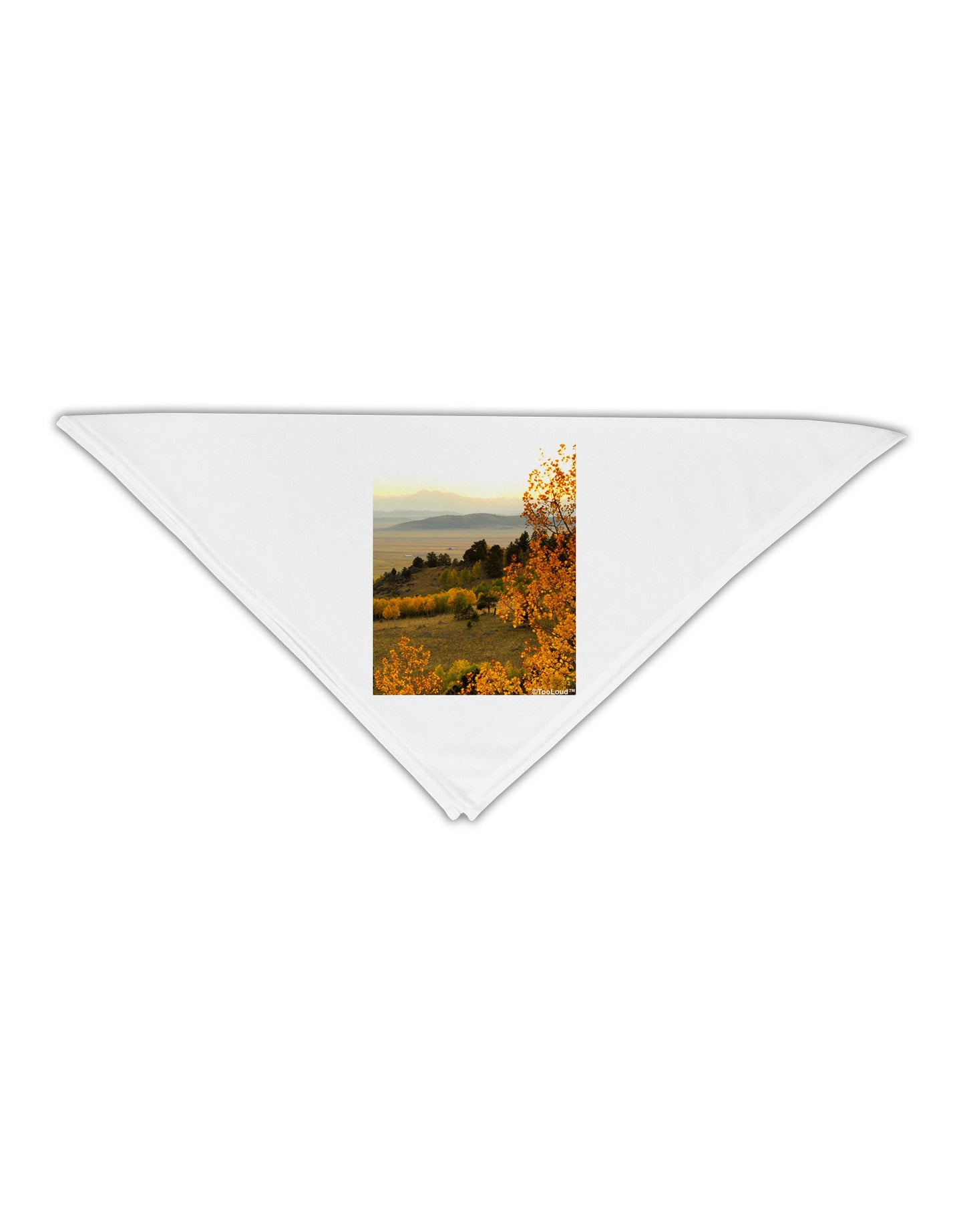 Nature Photography - Gentle Sunrise Adult 19" Square Bandana by-Square Bandanas-TooLoud-White-One-Size-Adult-Davson Sales