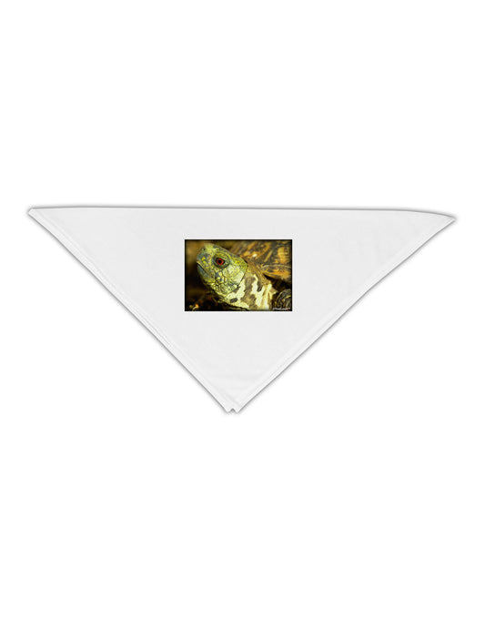 Menacing Turtle Adult 19&#x22; Square Bandana-Square Bandanas-TooLoud-White-One-Size-Adult-Davson Sales