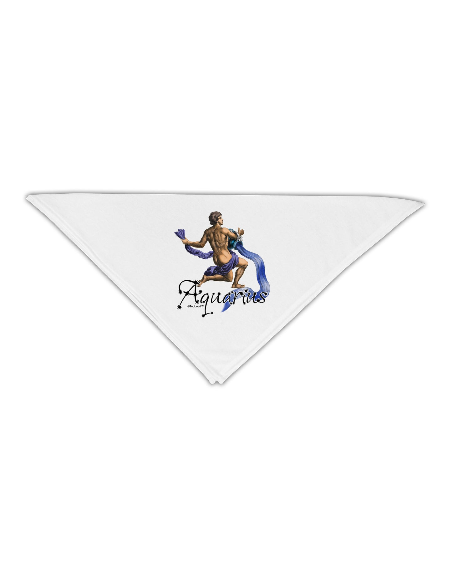 Aquarius Color Illustration Adult 19&#x22; Square Bandana-Square Bandanas-TooLoud-White-One-Size-Adult-Davson Sales