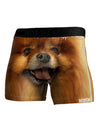 Adorable Pomeranian 2 Boxer Brief Dual Sided All Over Print-TooLoud-White-Small-Davson Sales