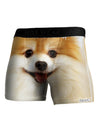 Adorable Pomeranian 1 Boxer Brief Dual Sided All Over Print-TooLoud-White-Small-Davson Sales