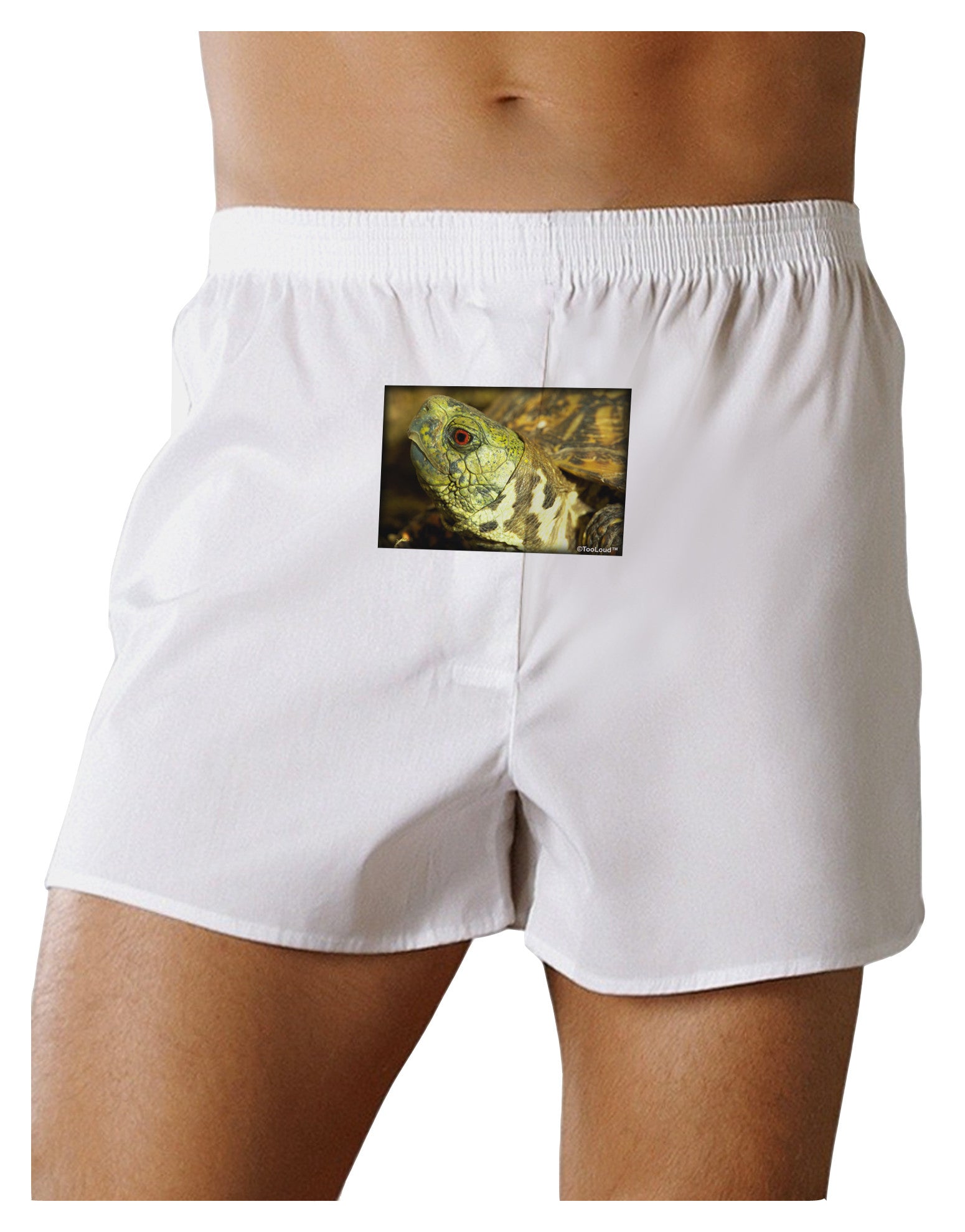 Menacing Turtle Front Print Boxer Shorts-Boxer Shorts-TooLoud-White-Small-Davson Sales