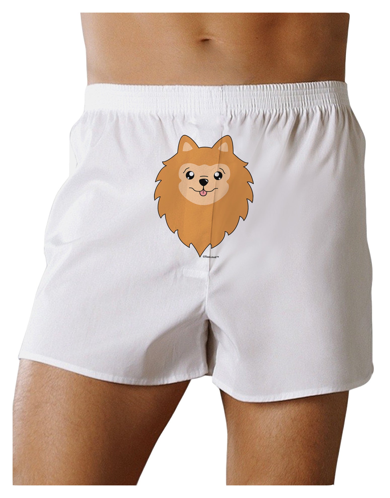 Cute Pomeranian Dog Front Print Boxer Shorts by TooLoud-Boxer Shorts-TooLoud-White-Small-Davson Sales