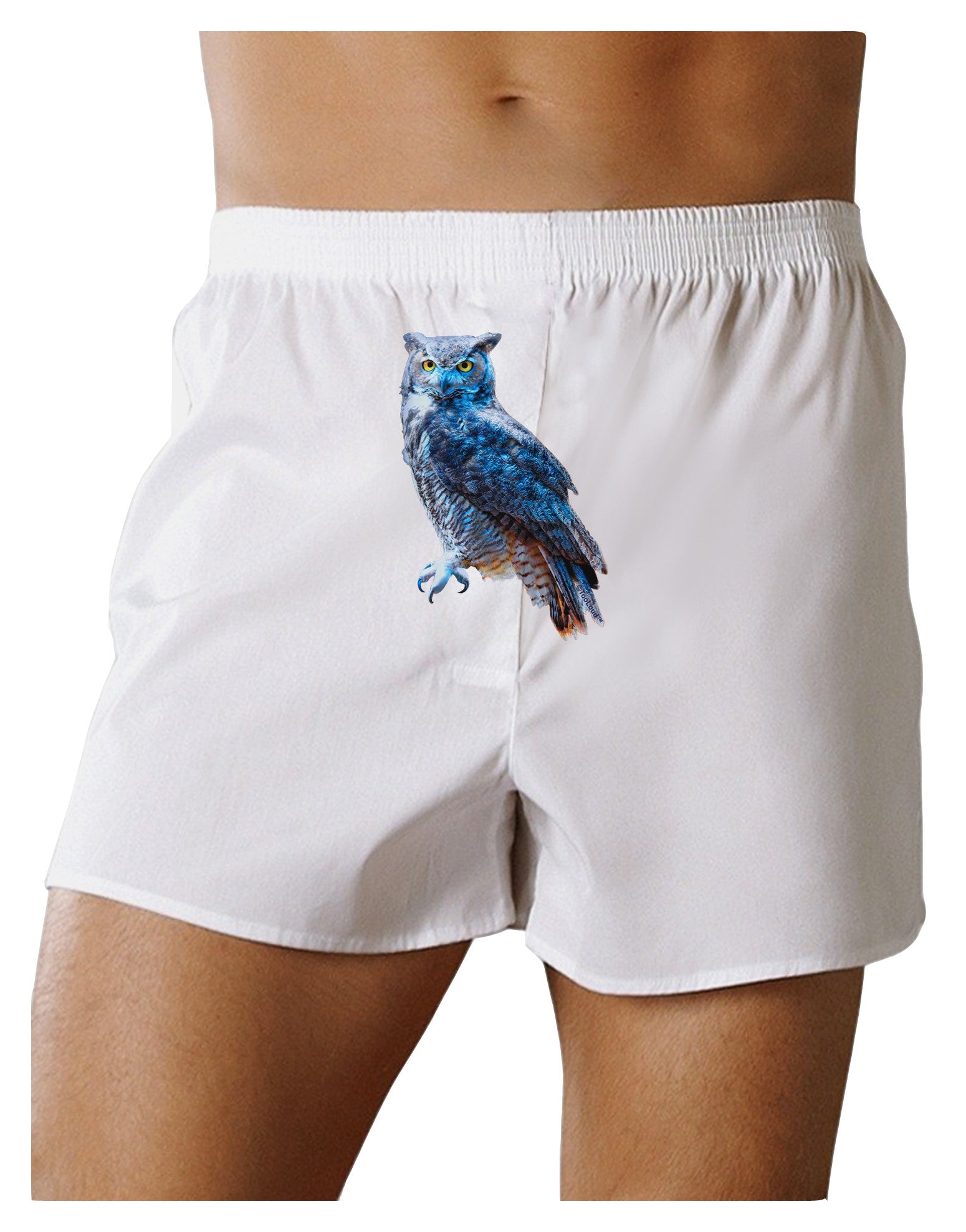 Colorful Great Horned Owl Front Print Boxer Shorts-Boxer Shorts-TooLoud-White-Small-Davson Sales