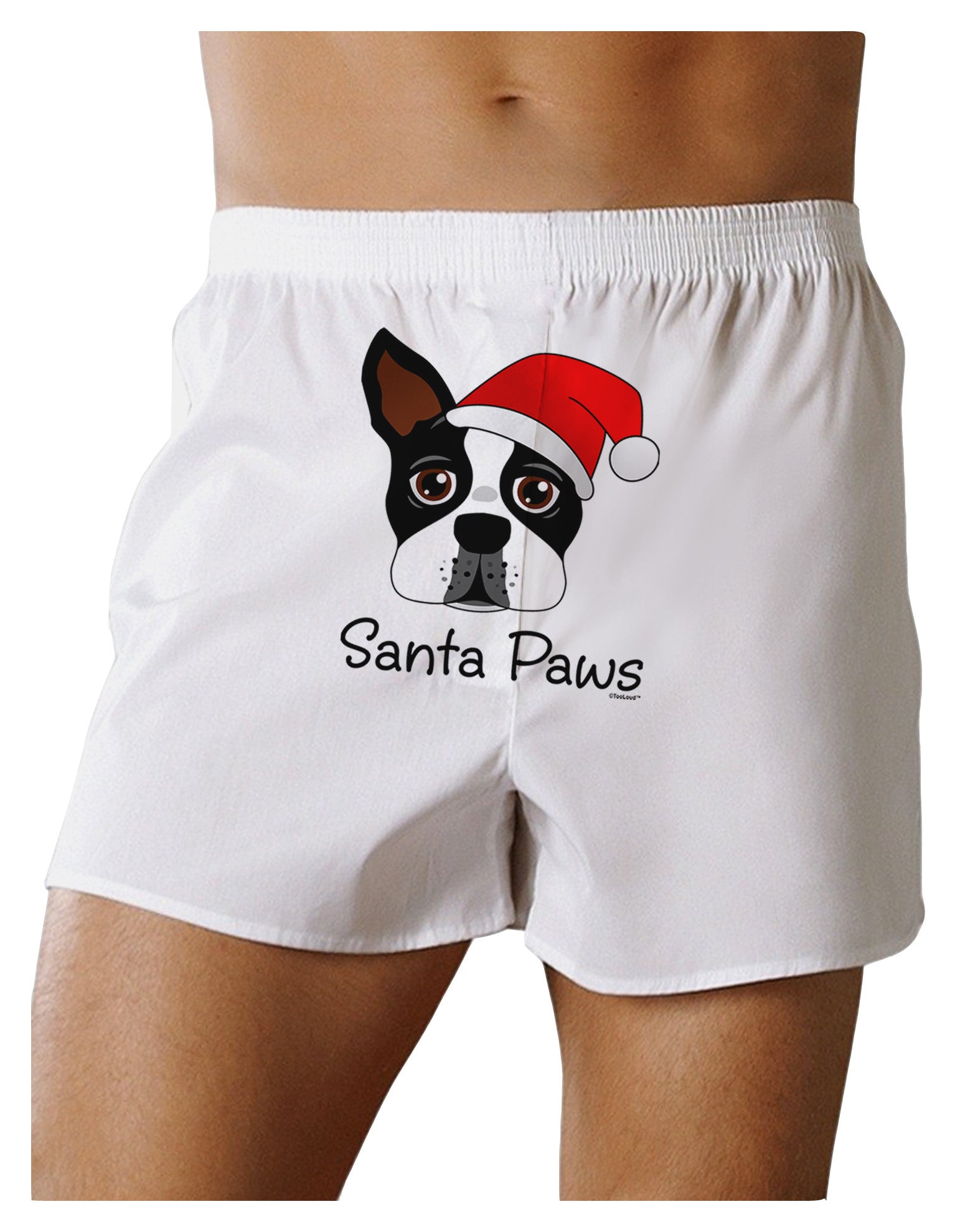 Santa Paws Christmas Dog Front Print Boxer Shorts-Boxer Shorts-TooLoud-White-Small-Davson Sales