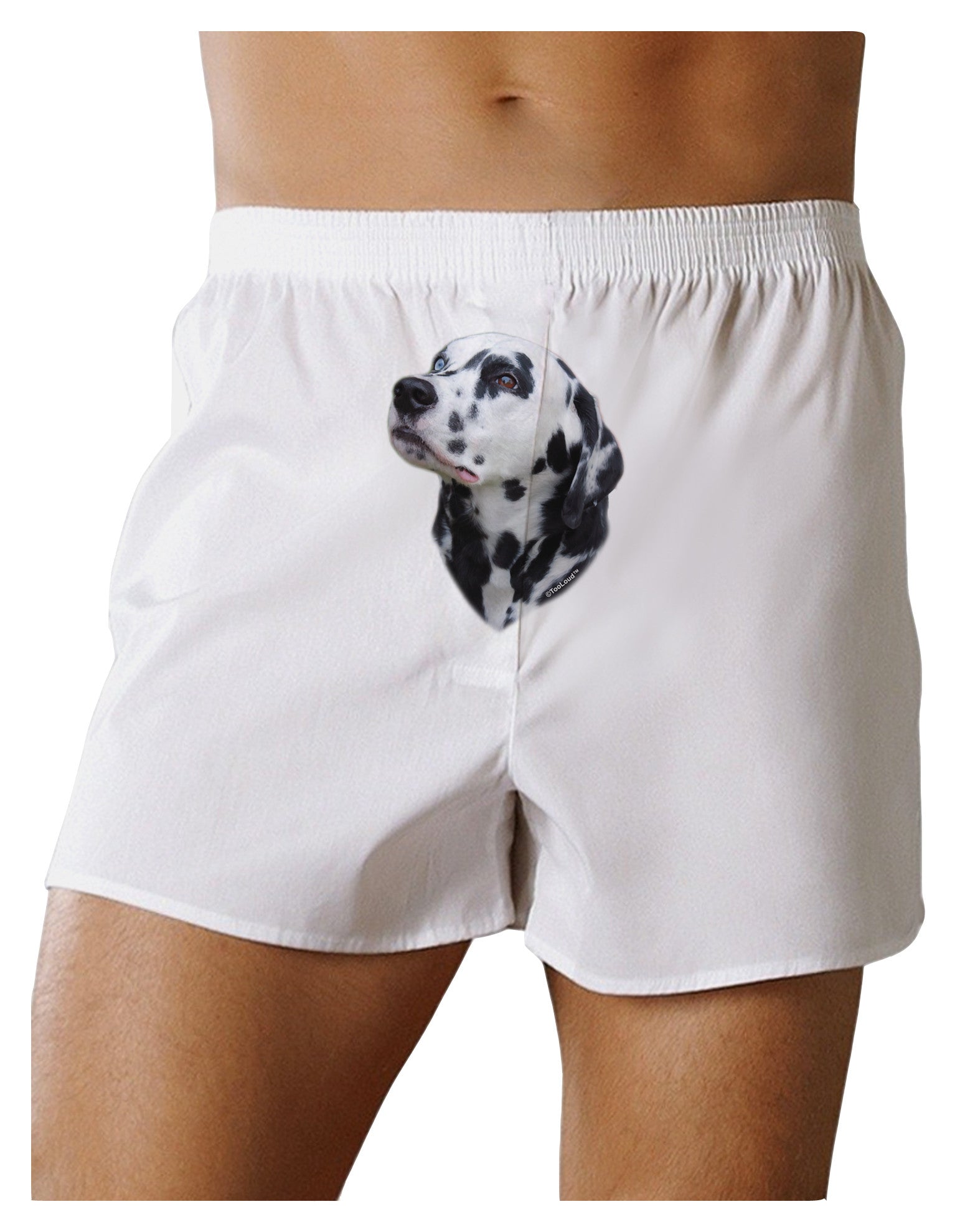 Dalmatian Portrait Front Print Boxer Shorts by TooLoud-Boxer Shorts-TooLoud-White-Small-Davson Sales