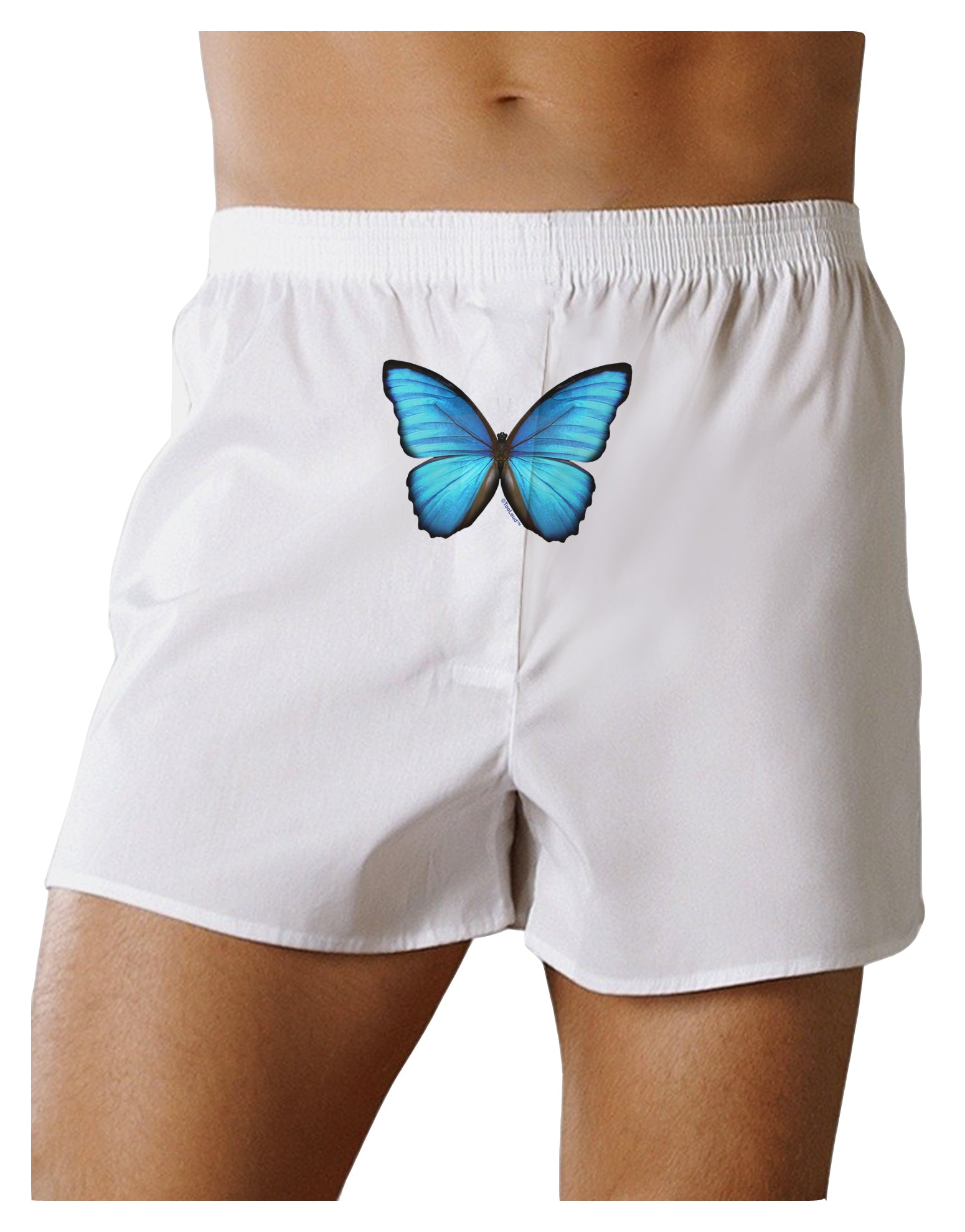 Big Blue Butterfly Front Print Boxer Shorts-Boxer Shorts-TooLoud-White-Small-Davson Sales