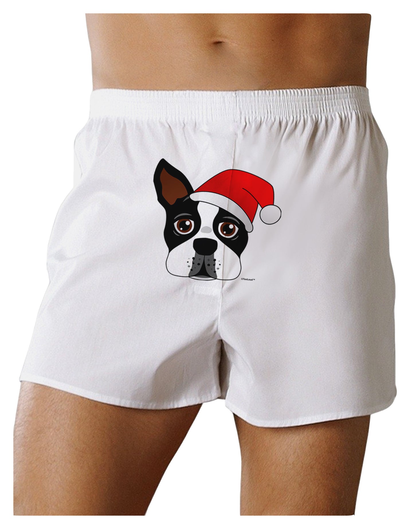 Cute Dog with Santa Hat - Christmas Front Print Boxer Shorts-Boxer Shorts-TooLoud-White-Small-Davson Sales
