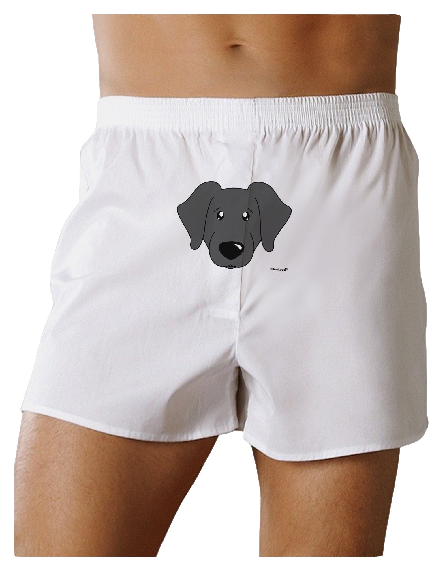 Cute Black Labrador Retriever Dog Front Print Boxer Shorts by TooLoud-Boxer Shorts-TooLoud-White-Small-Davson Sales