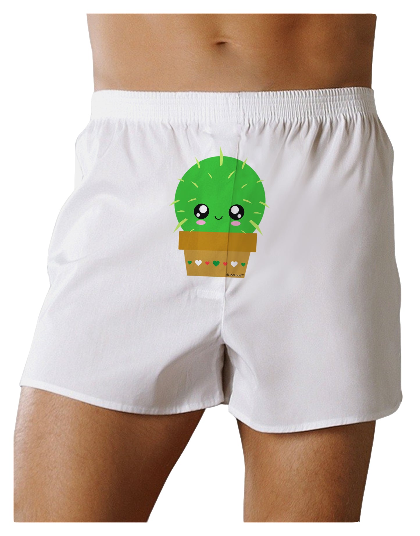 Cute Cactus Design Front Print Boxer Shorts by TooLoud-Boxer Shorts-TooLoud-White-Small-Davson Sales