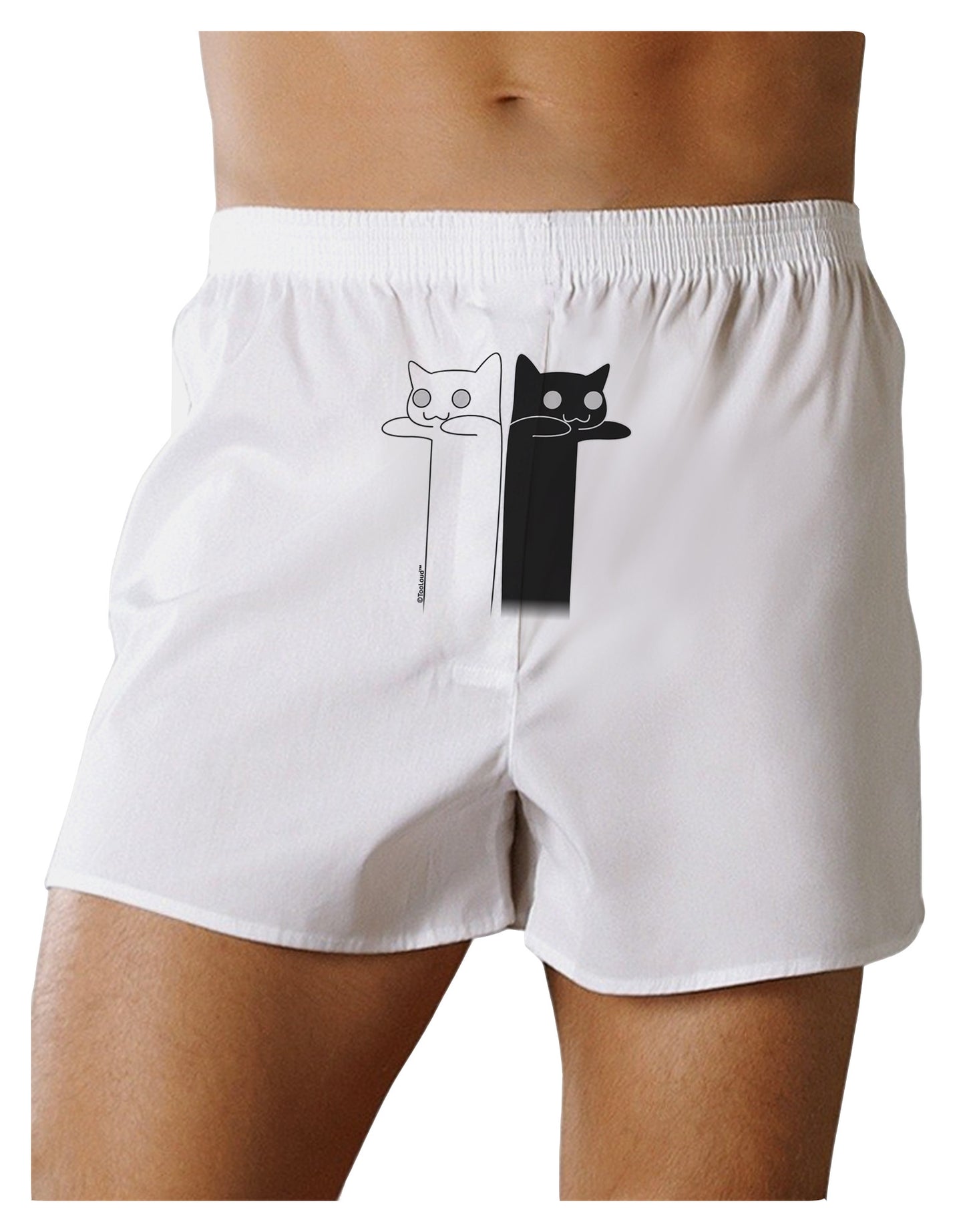 Longcat and Tacgnol - Internet Humor Front Print Boxer Shorts by TooLoud-Boxer Shorts-TooLoud-White-Small-Davson Sales