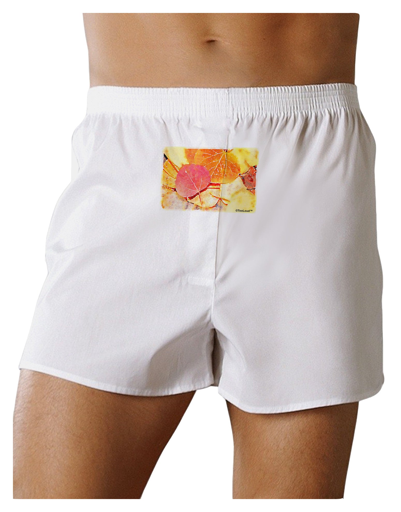 Colorado - Autumn WaterColor Front Print Boxer Shorts-Boxer Shorts-TooLoud-White-Small-Davson Sales
