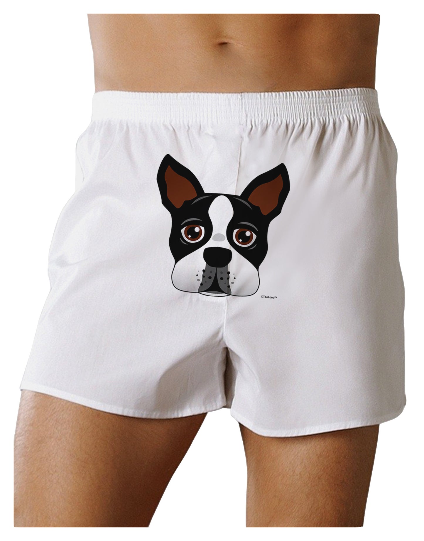 Cute Boston Terrier Dog Face Front Print Boxer Shorts-Boxer Shorts-TooLoud-White-Small-Davson Sales