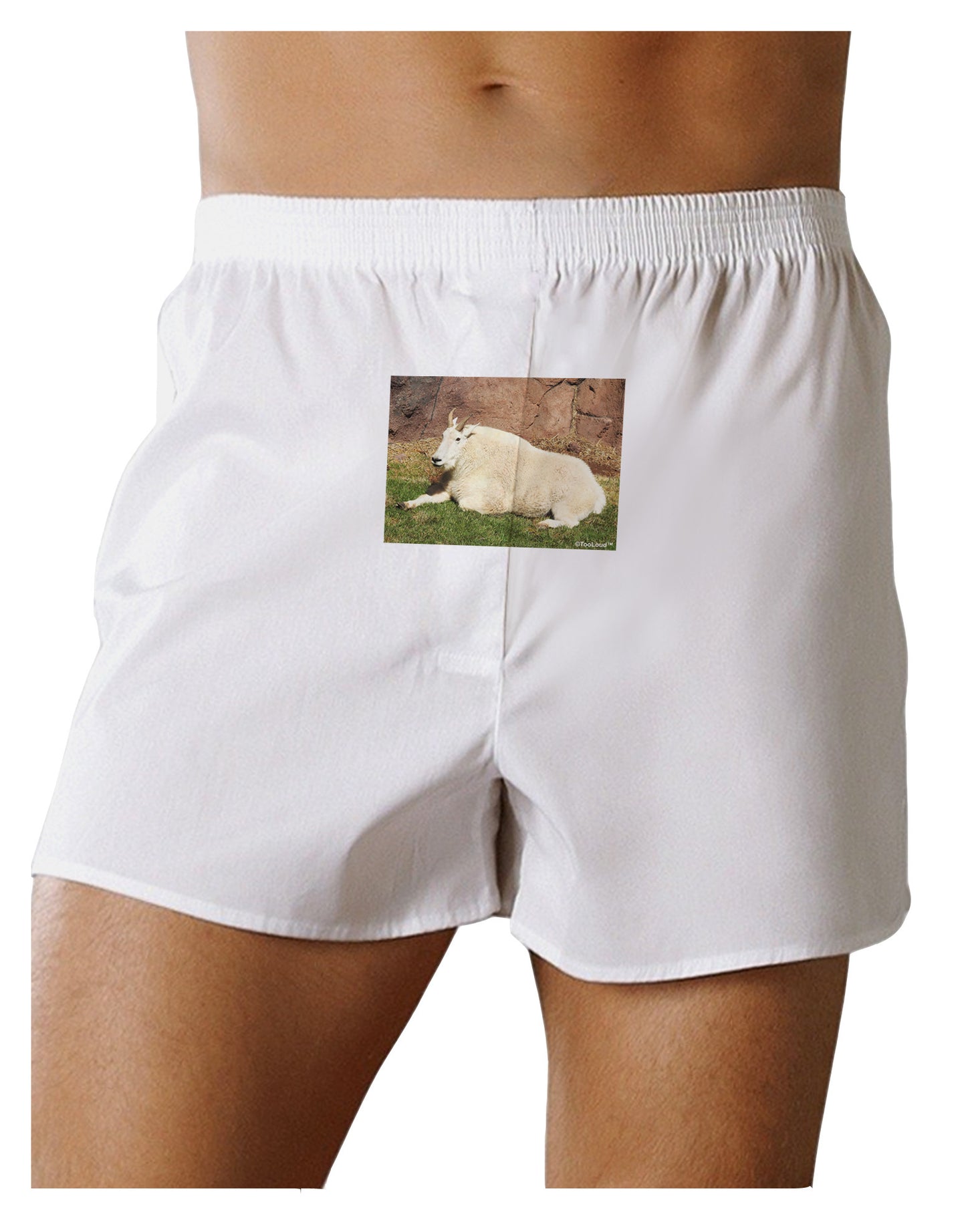 Relaxing Ram Front Print Boxer Shorts-Boxer Shorts-TooLoud-White-Small-Davson Sales