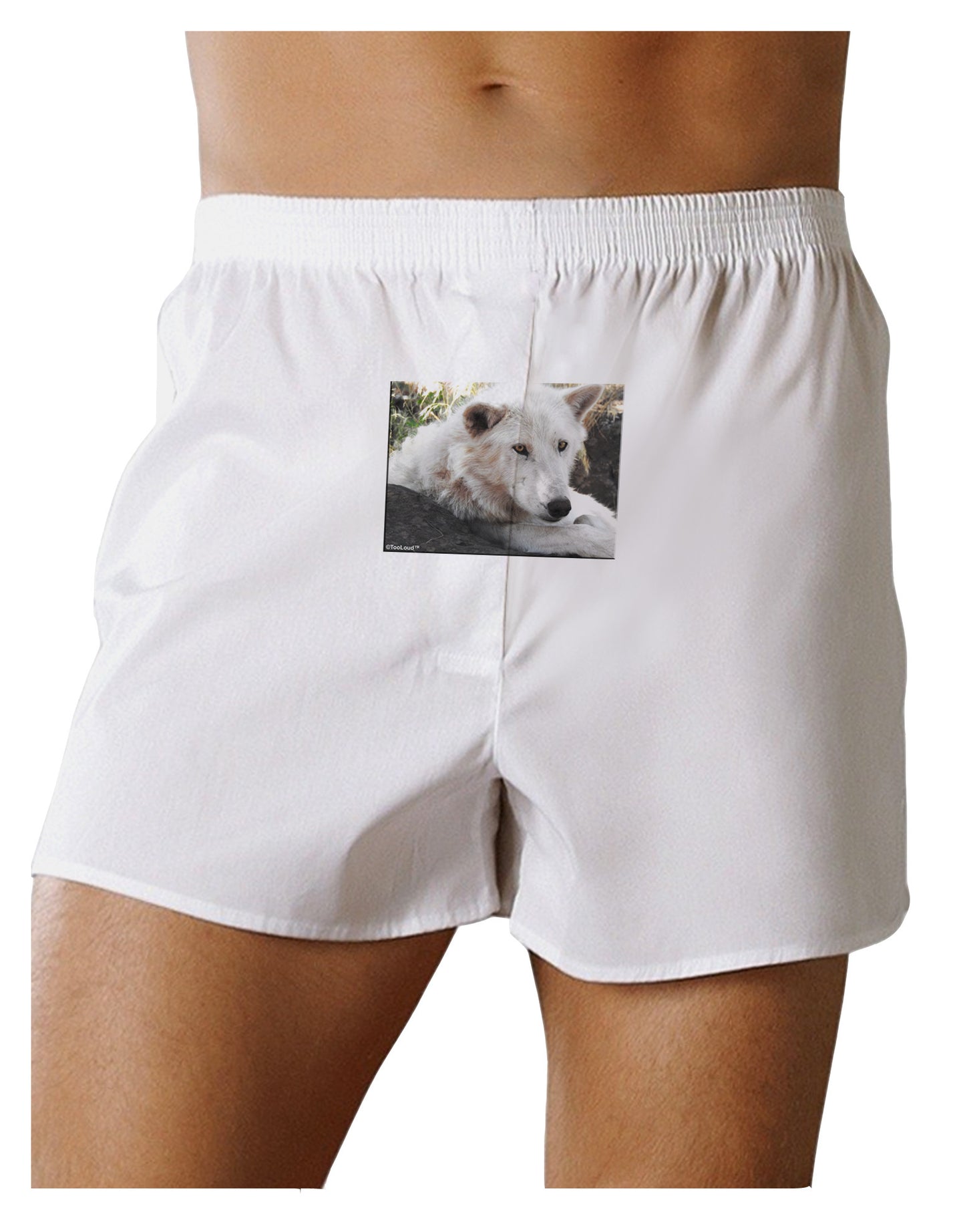 Laying White Wolf Front Print Boxer Shorts-Boxer Shorts-TooLoud-White-Small-Davson Sales