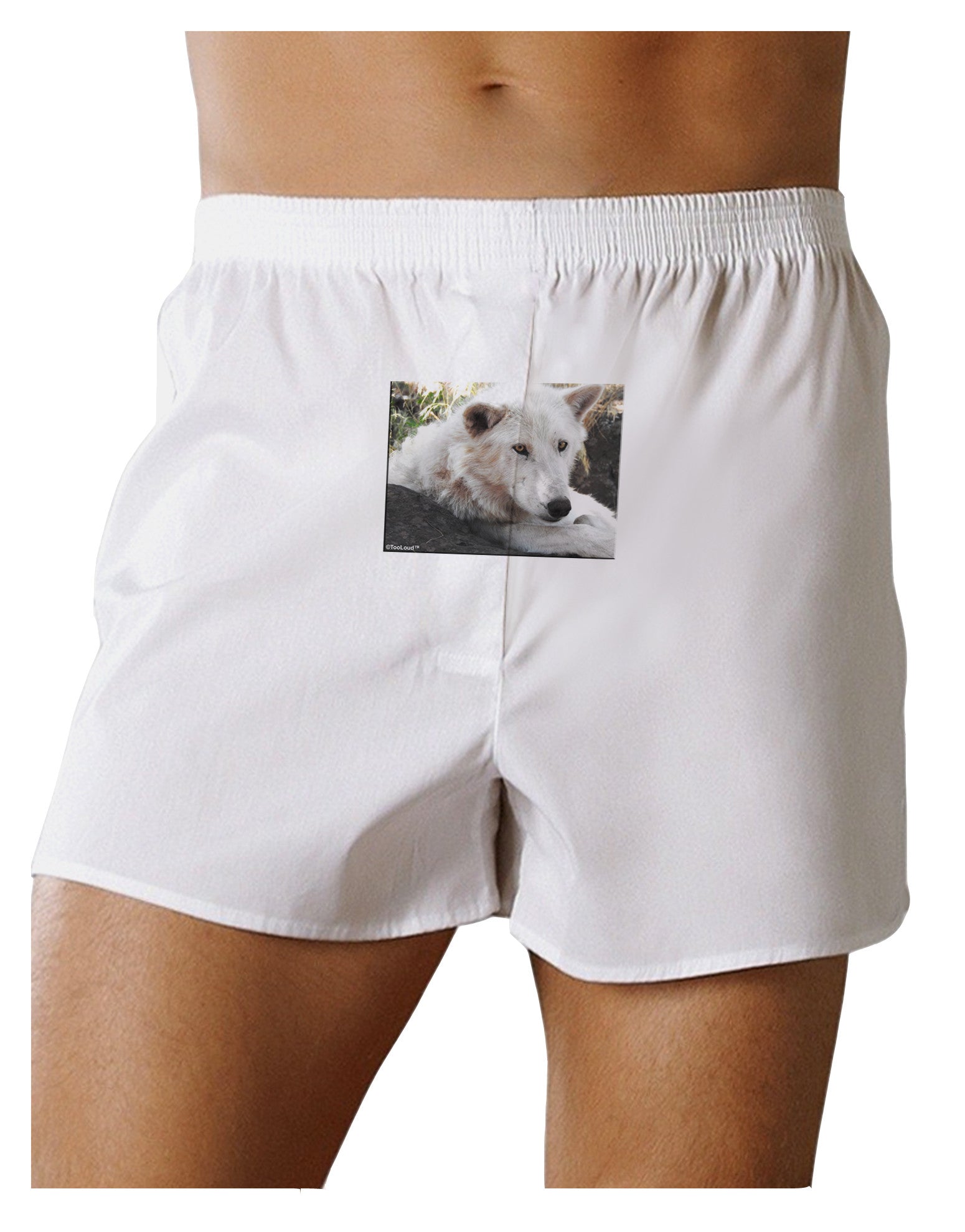 Laying White Wolf Front Print Boxer Shorts-Boxer Shorts-TooLoud-White-Small-Davson Sales