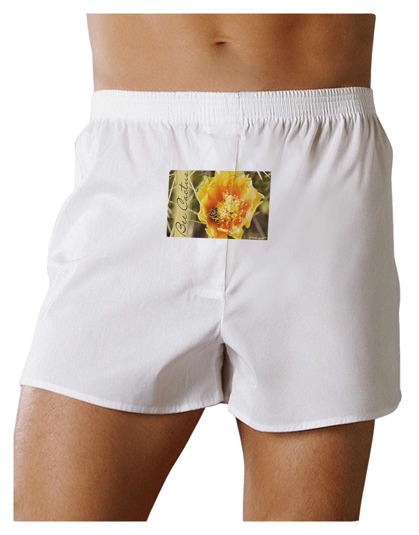 Bee Cactus with Text Front Print Boxer Shorts-Boxer Shorts-TooLoud-White-Small-Davson Sales