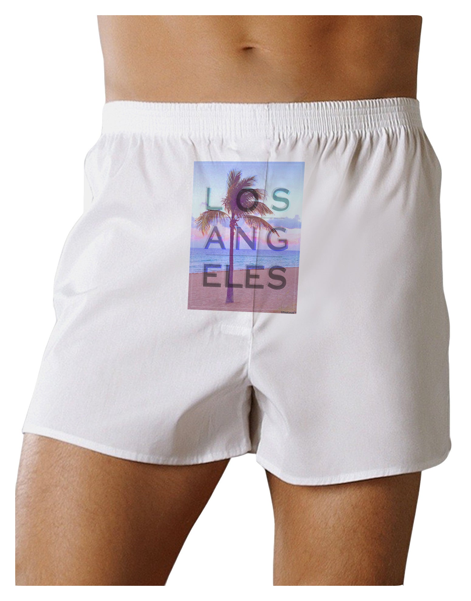 Los Angeles Beach Filter Front Print Boxer Shorts-Boxer Shorts-TooLoud-White-Small-Davson Sales