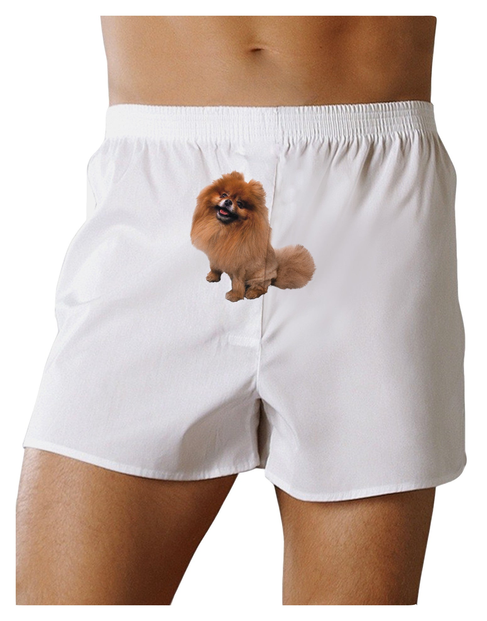 Pomeranian Sitting All Cute-Like Front Print Boxer Shorts-Boxer Shorts-TooLoud-White-Small-Davson Sales