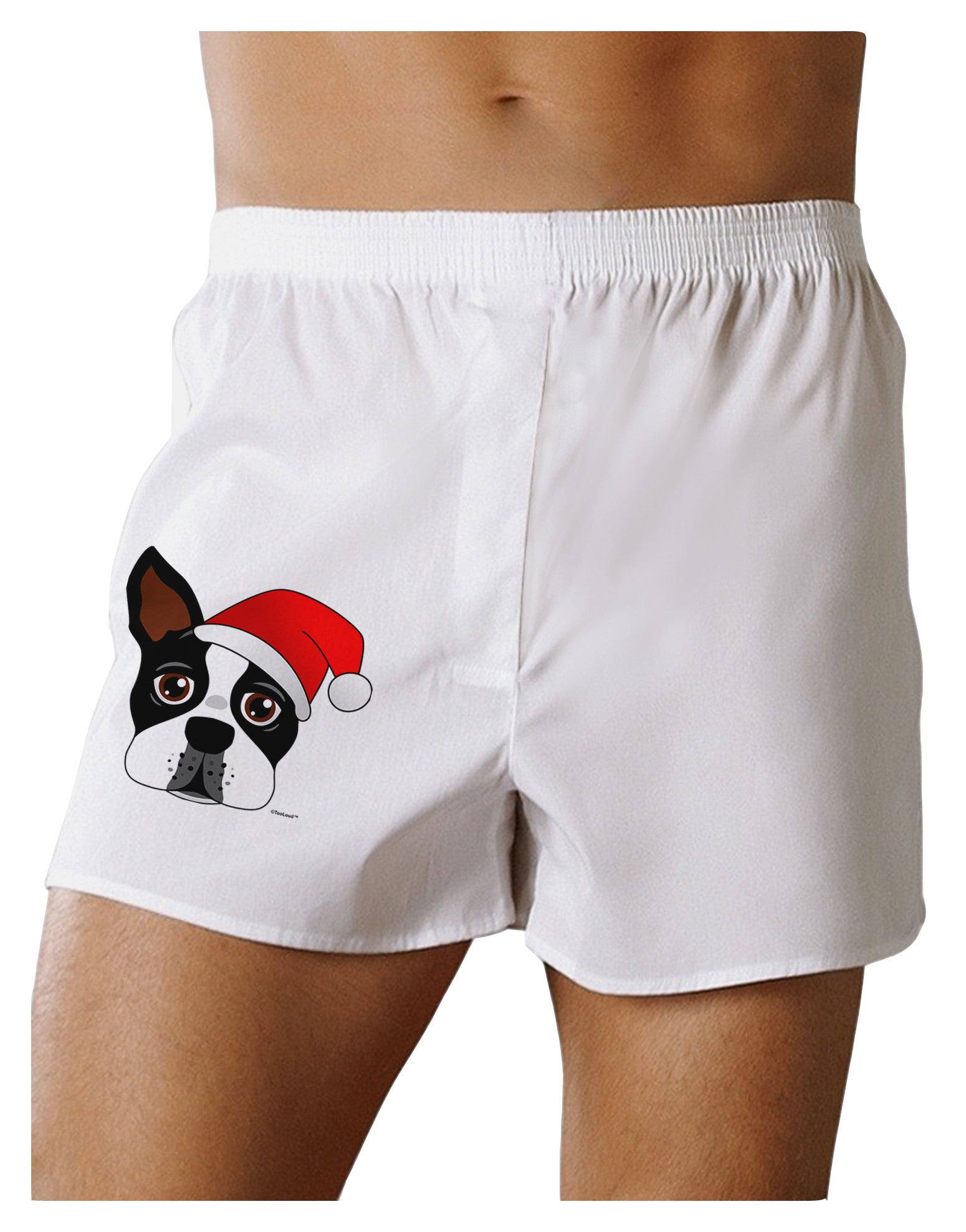Cute Dog with Santa Hat - Christmas Boxer Shorts-Boxer Shorts-TooLoud-White-Small-Davson Sales