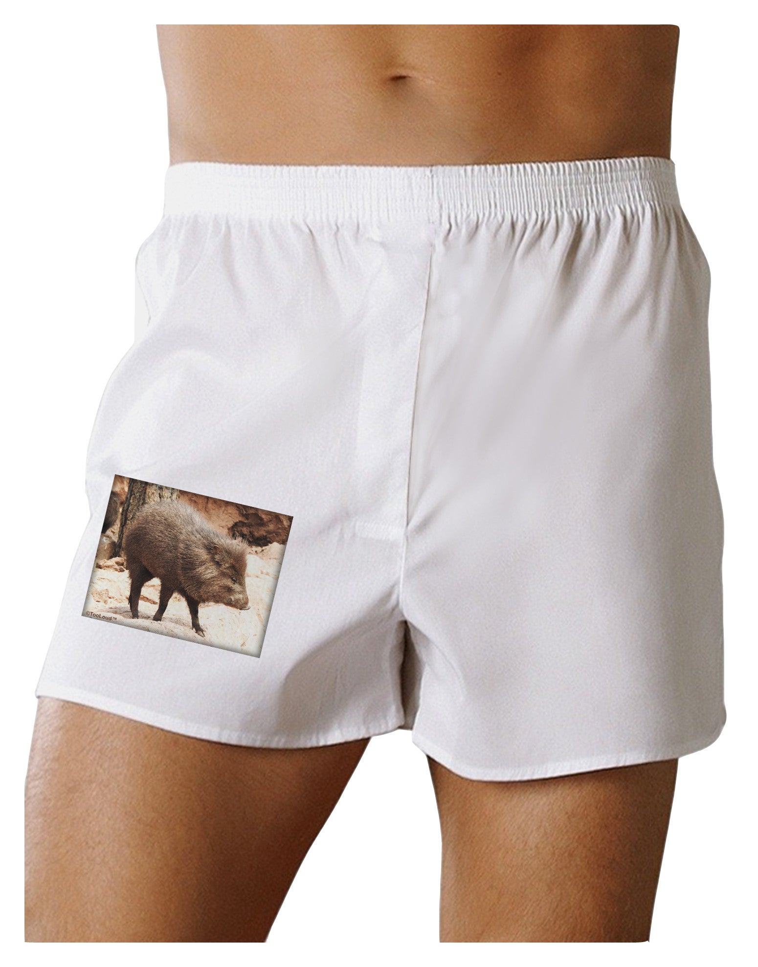 Little Javelina Boxer Shorts-Boxer Shorts-TooLoud-White-Small-Davson Sales