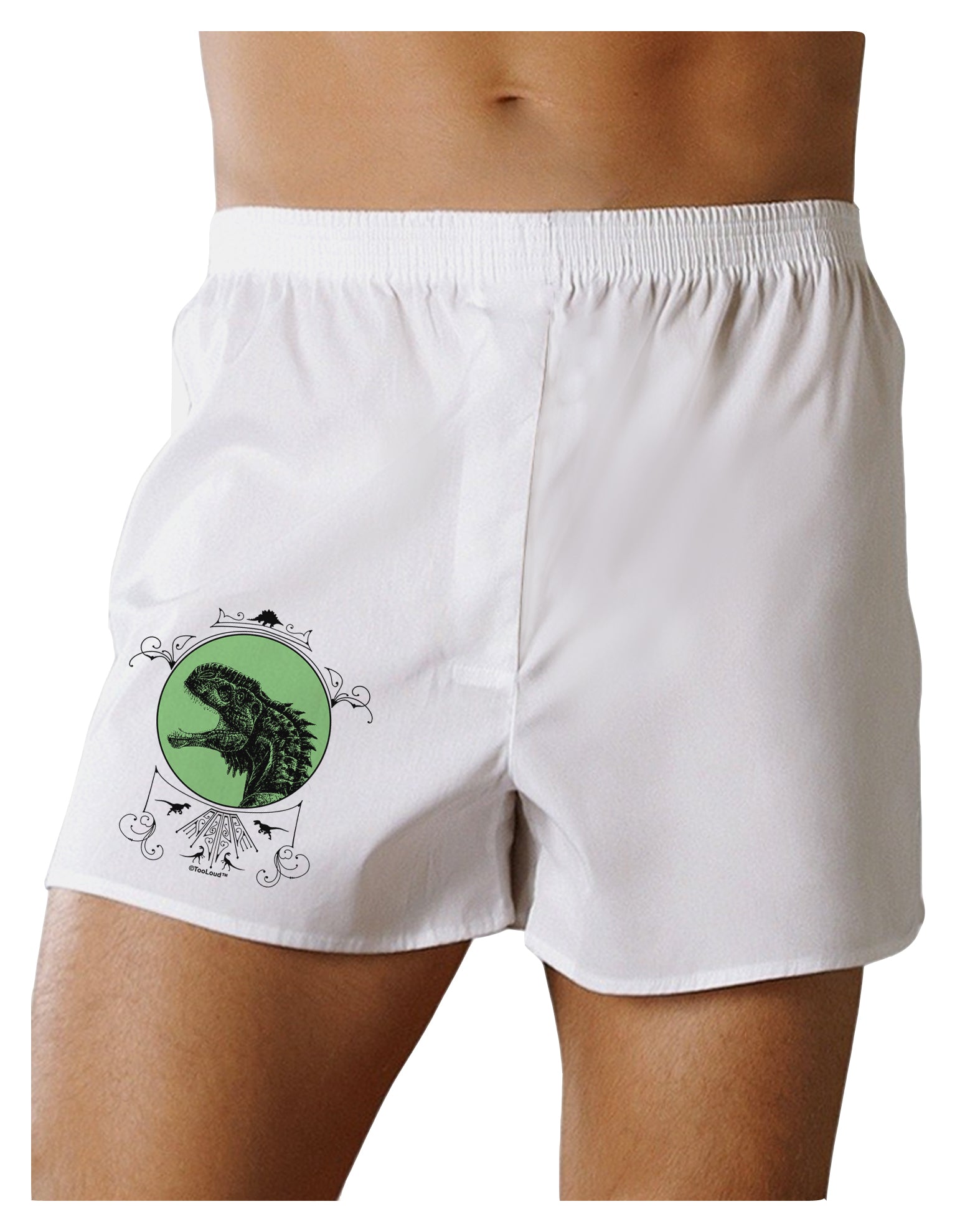 Jurassic Dinosaur Face Boxers Shorts by TooLoud-Boxer Shorts-TooLoud-White-Small-Davson Sales