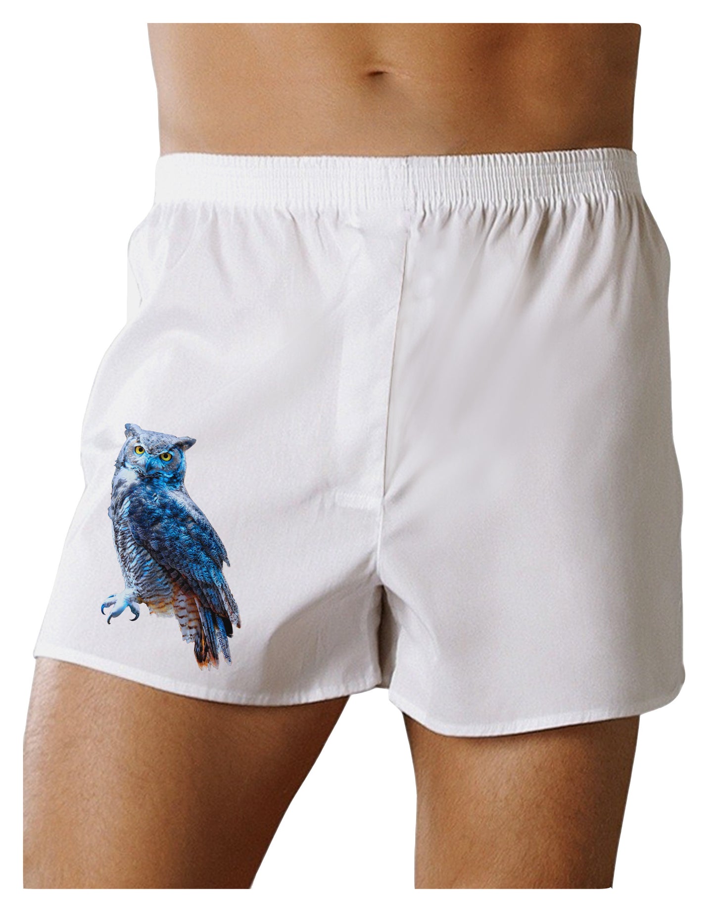 Colorful Great Horned Owl Boxer Shorts-Boxer Shorts-TooLoud-White-Small-Davson Sales