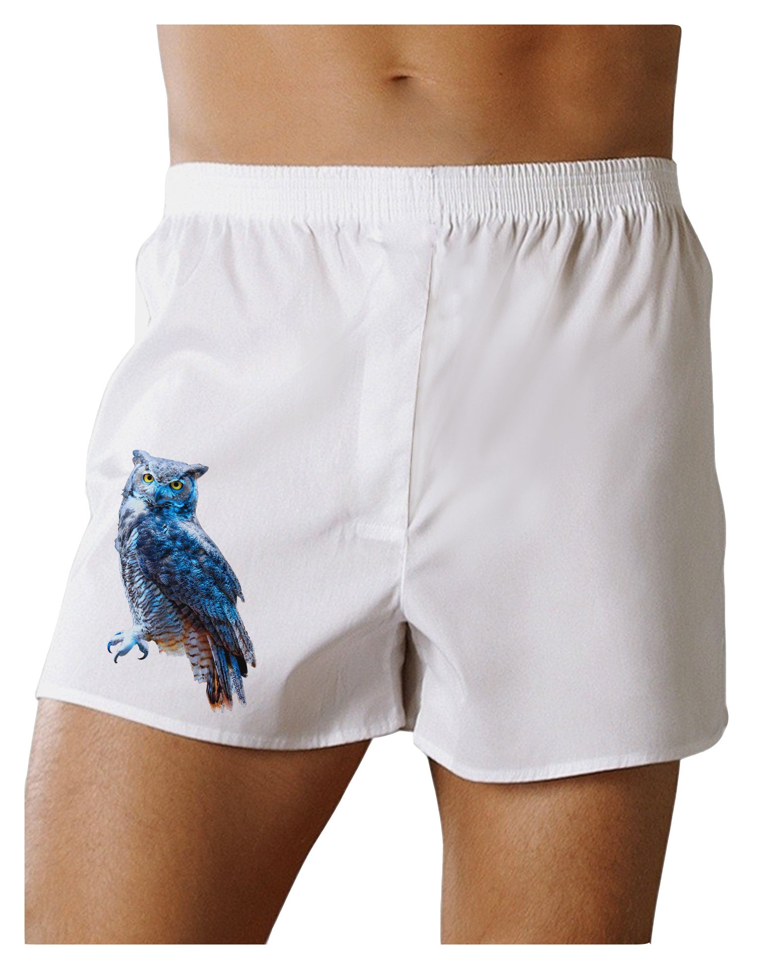 Colorful Great Horned Owl Boxer Shorts-Boxer Shorts-TooLoud-White-Small-Davson Sales