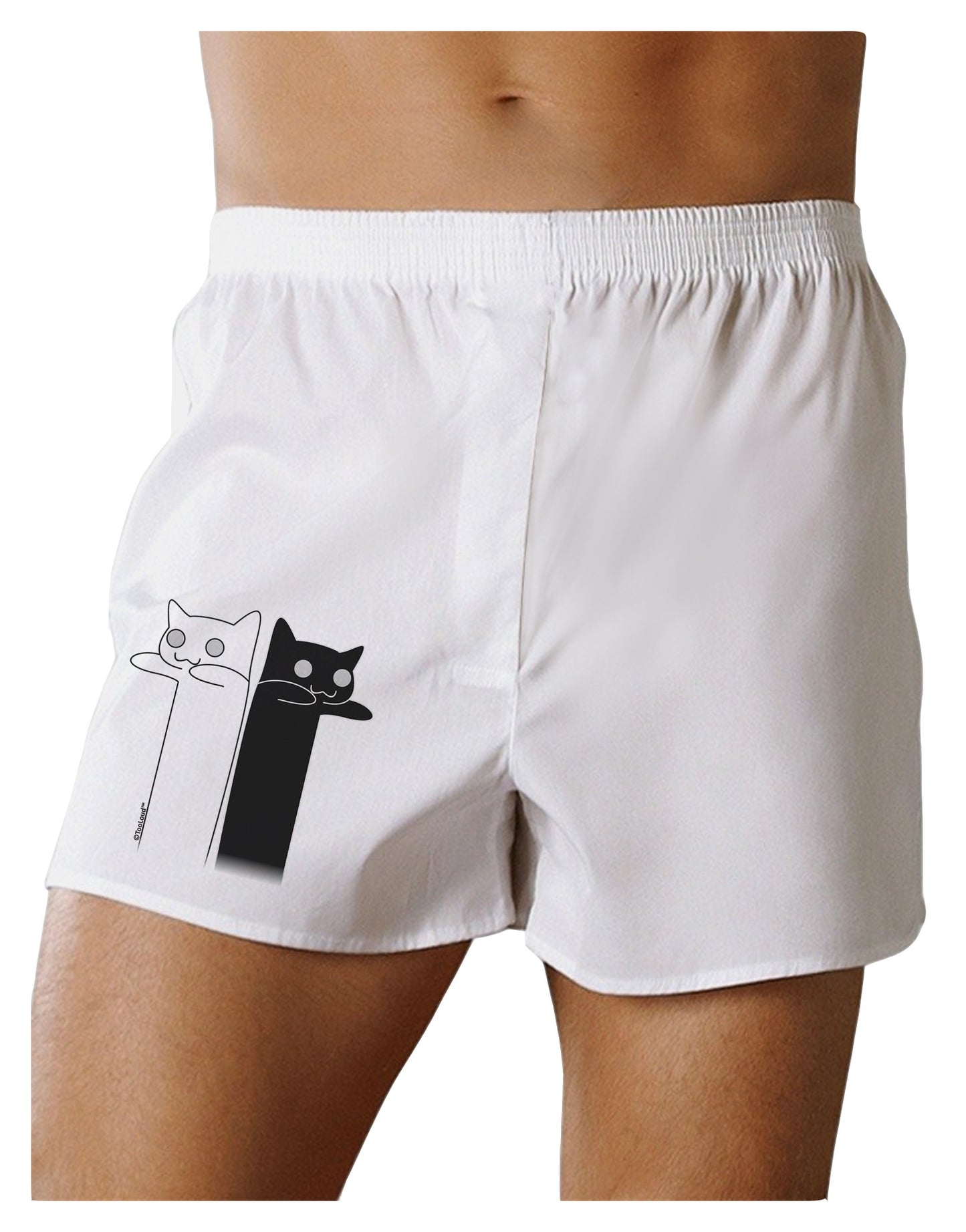 Longcat and Tacgnol - Internet Humor Boxer Shorts by TooLoud-Boxer Shorts-TooLoud-White-Small-Davson Sales