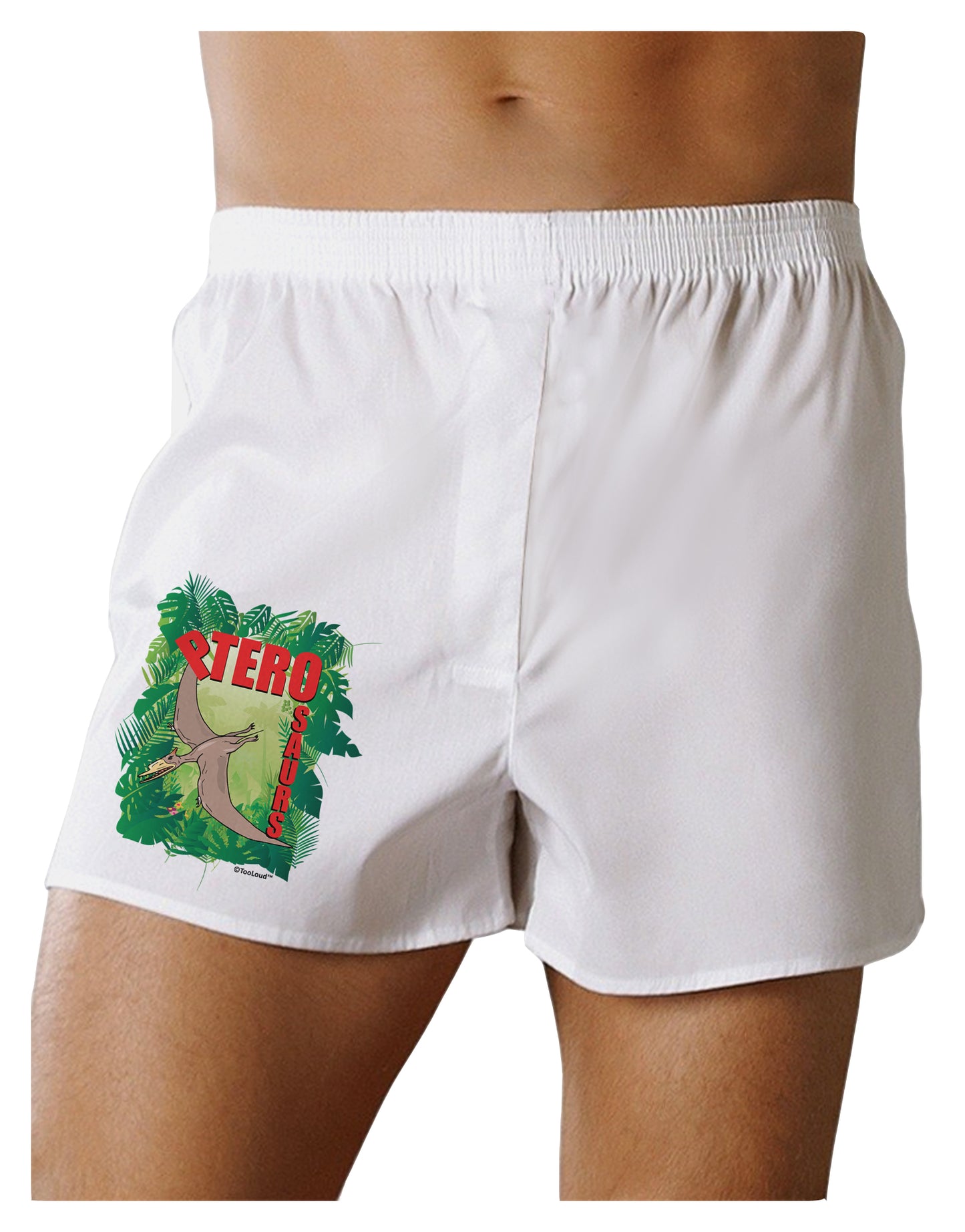 Pterosaurs - With Name Boxer Shorts by TooLoud-Boxer Shorts-TooLoud-White-Small-Davson Sales