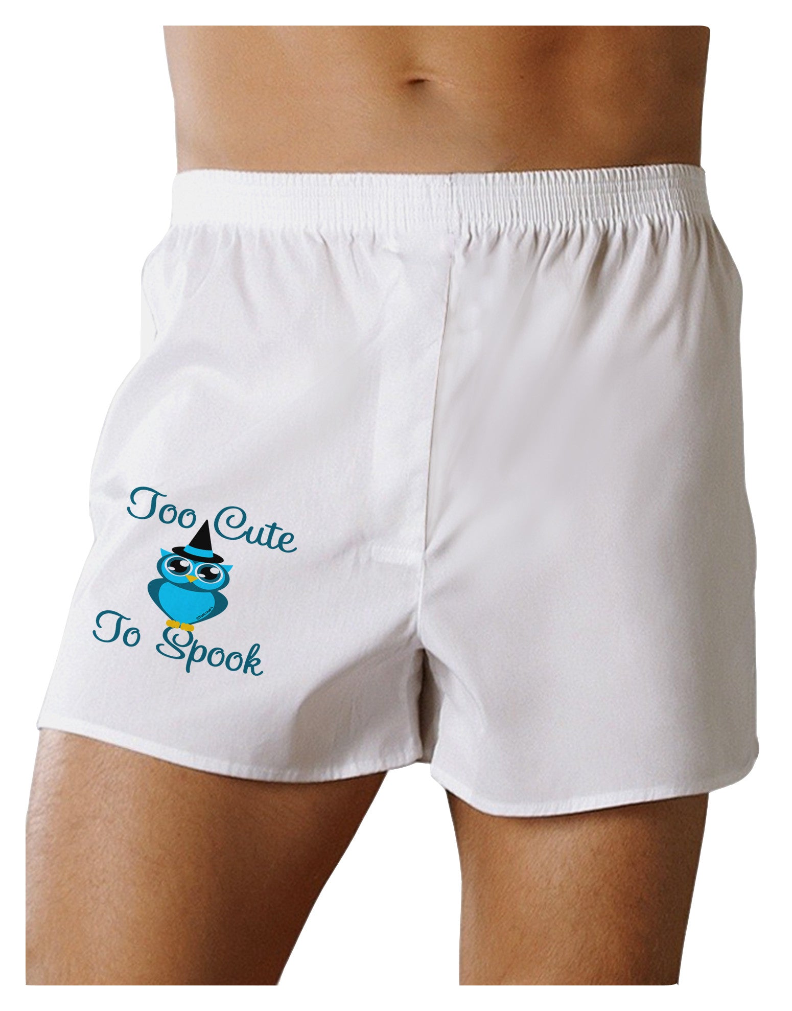 Owl Too Cute Blue Boxer Shorts-Boxer Shorts-TooLoud-White-Small-Davson Sales