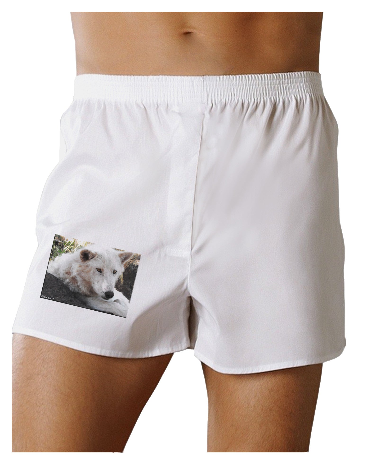 Laying White Wolf Boxer Shorts-Boxer Shorts-TooLoud-White-Small-Davson Sales
