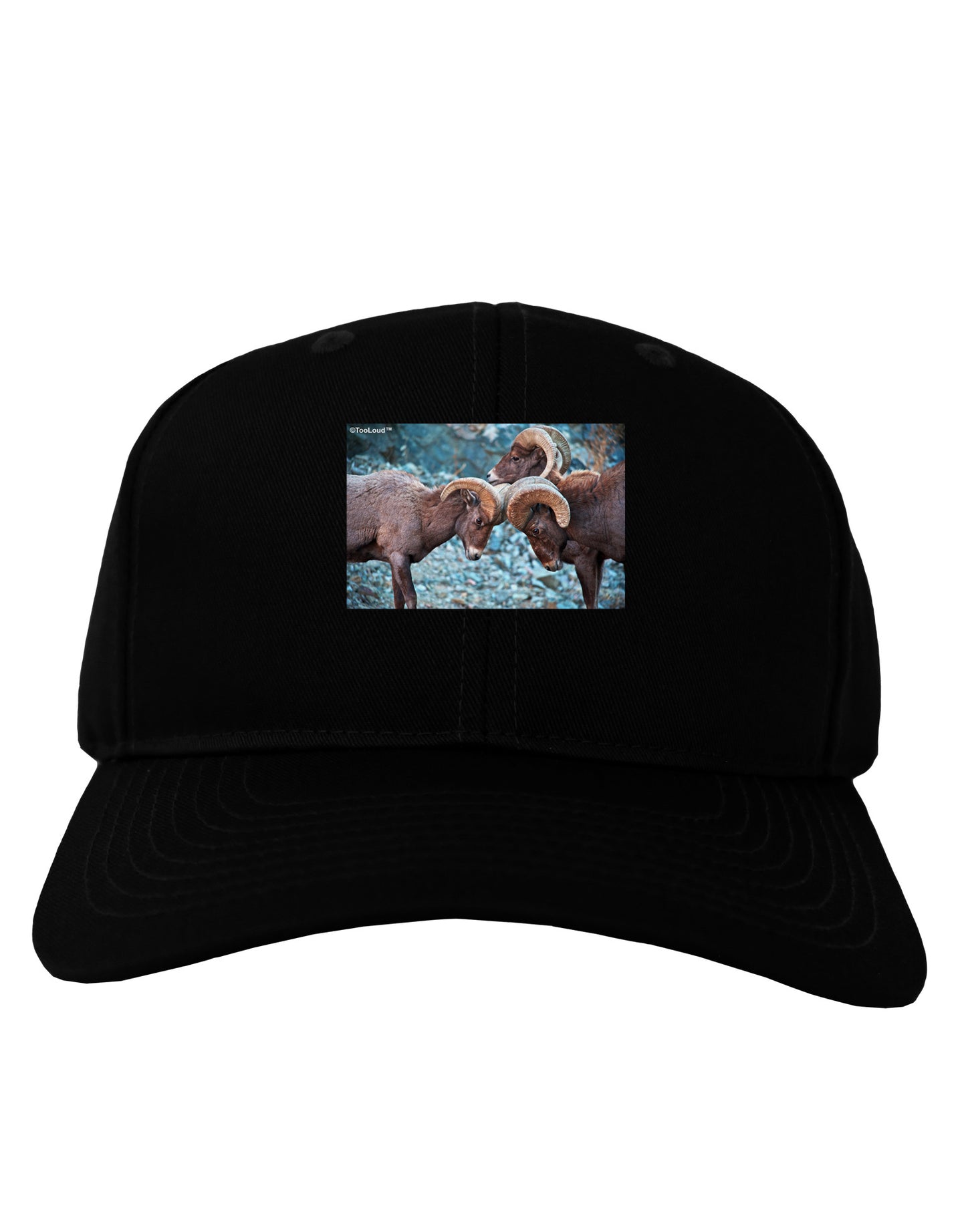 CO Bighorn Head Butt Adult Dark Baseball Cap Hat-Baseball Cap-TooLoud-Black-One Size-Davson Sales