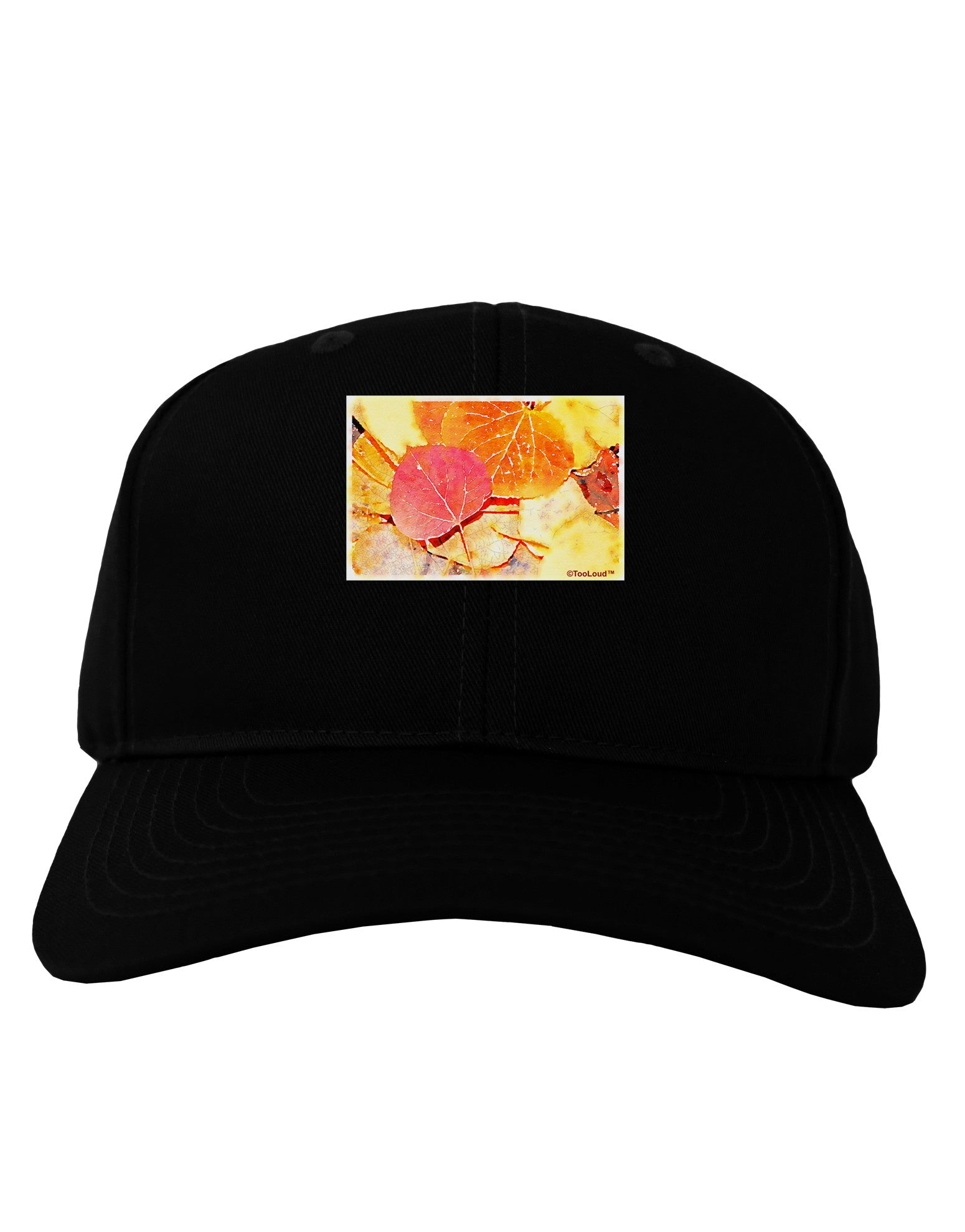 Colorado - Autumn WaterColor Adult Dark Baseball Cap Hat-Baseball Cap-TooLoud-Black-One Size-Davson Sales