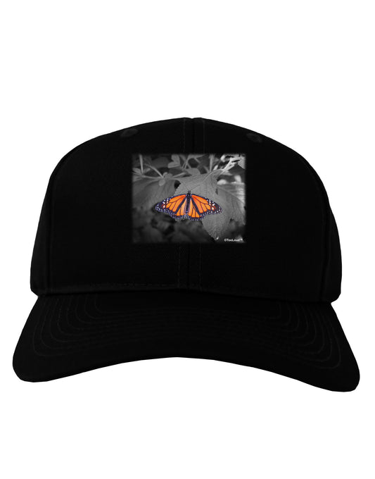 Monarch Butterfly Photo Adult Dark Baseball Cap Hat-Baseball Cap-TooLoud-Black-One Size-Davson Sales