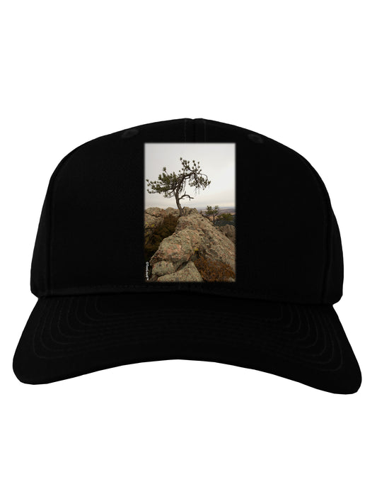 Stone Tree Colorado Adult Dark Baseball Cap Hat by TooLoud-Baseball Cap-TooLoud-Black-One Size-Davson Sales