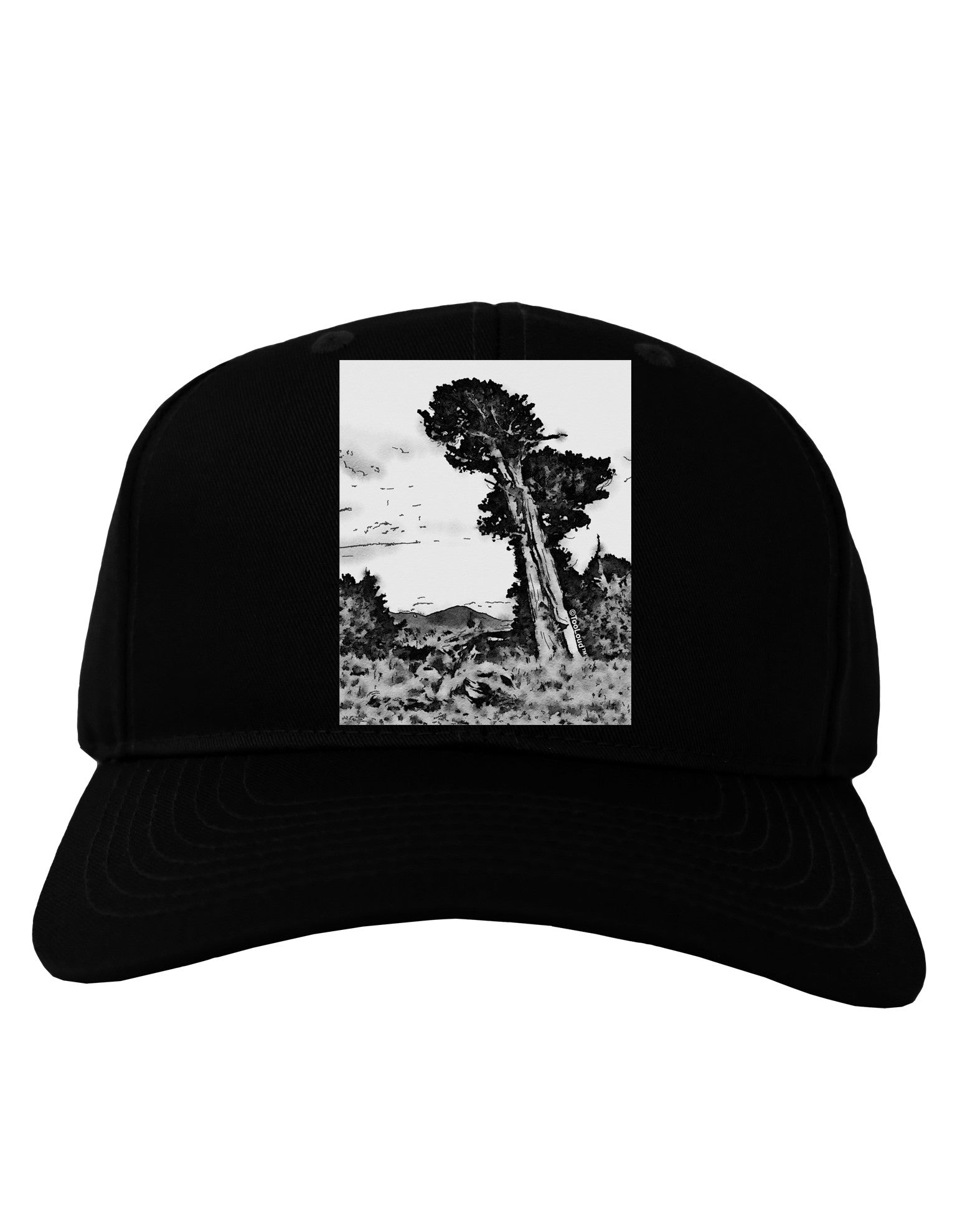 Colorado Landscape Watercolor BW Adult Dark Baseball Cap Hat-Baseball Cap-TooLoud-Black-One Size-Davson Sales