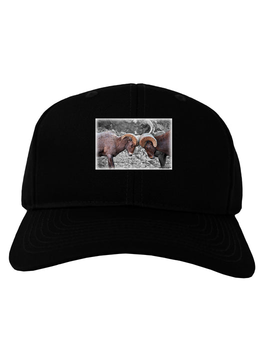 CO Bighorn Head Butt Desaturated Adult Dark Baseball Cap Hat-Baseball Cap-TooLoud-Black-One Size-Davson Sales