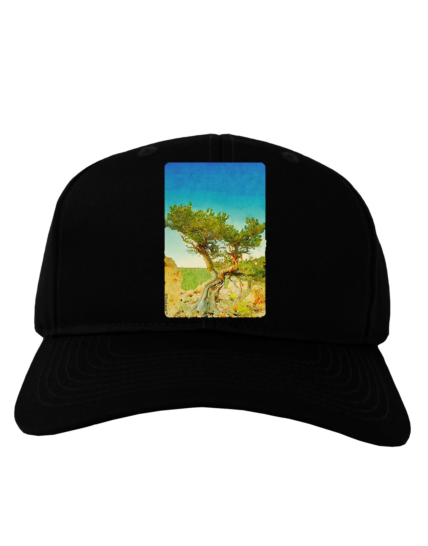 Colorado Tree Watercolor Adult Dark Baseball Cap Hat-Baseball Cap-TooLoud-Black-One Size-Davson Sales