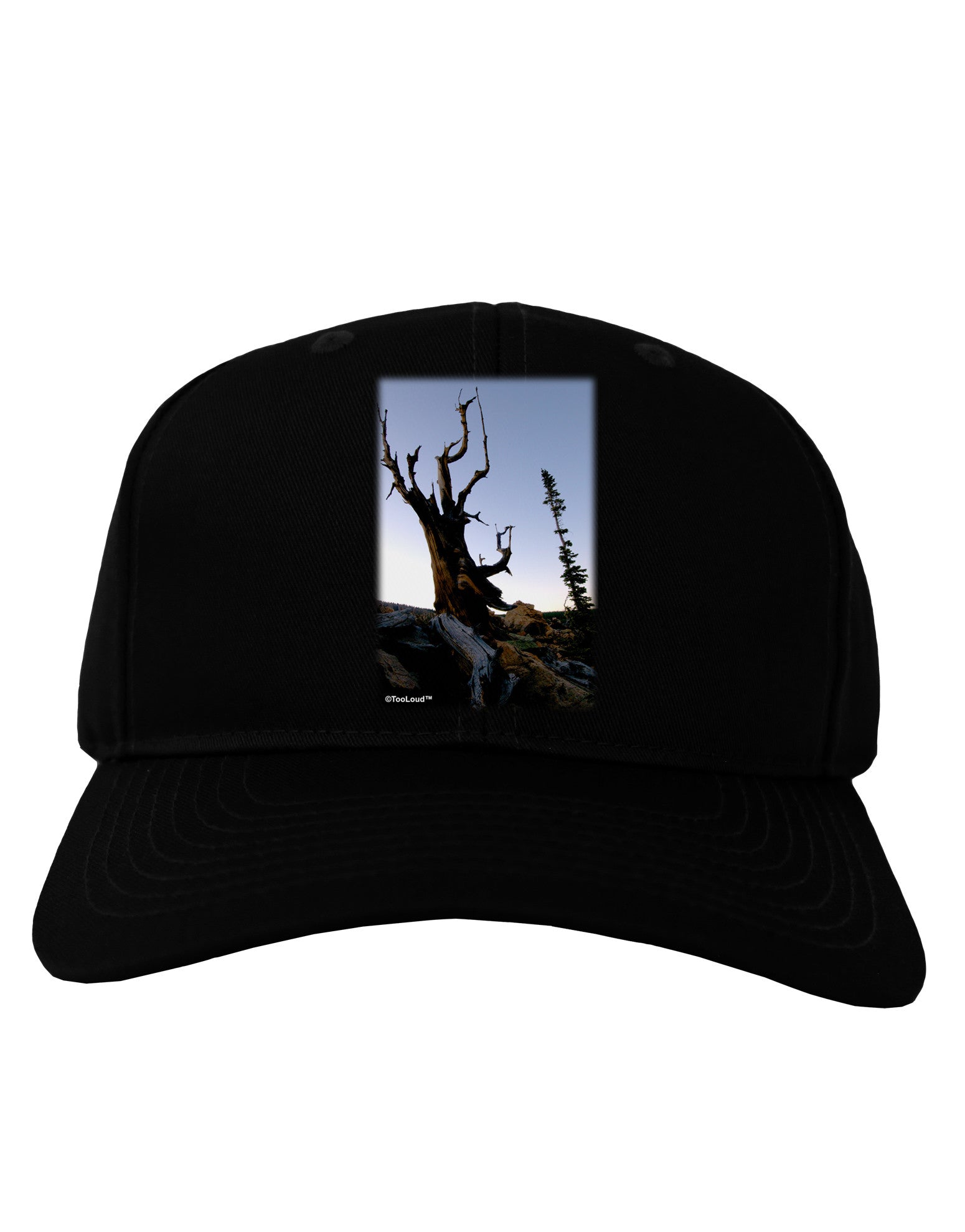 Colorado Mountain Scenery Adult Dark Baseball Cap Hat-Baseball Cap-TooLoud-Black-One Size-Davson Sales