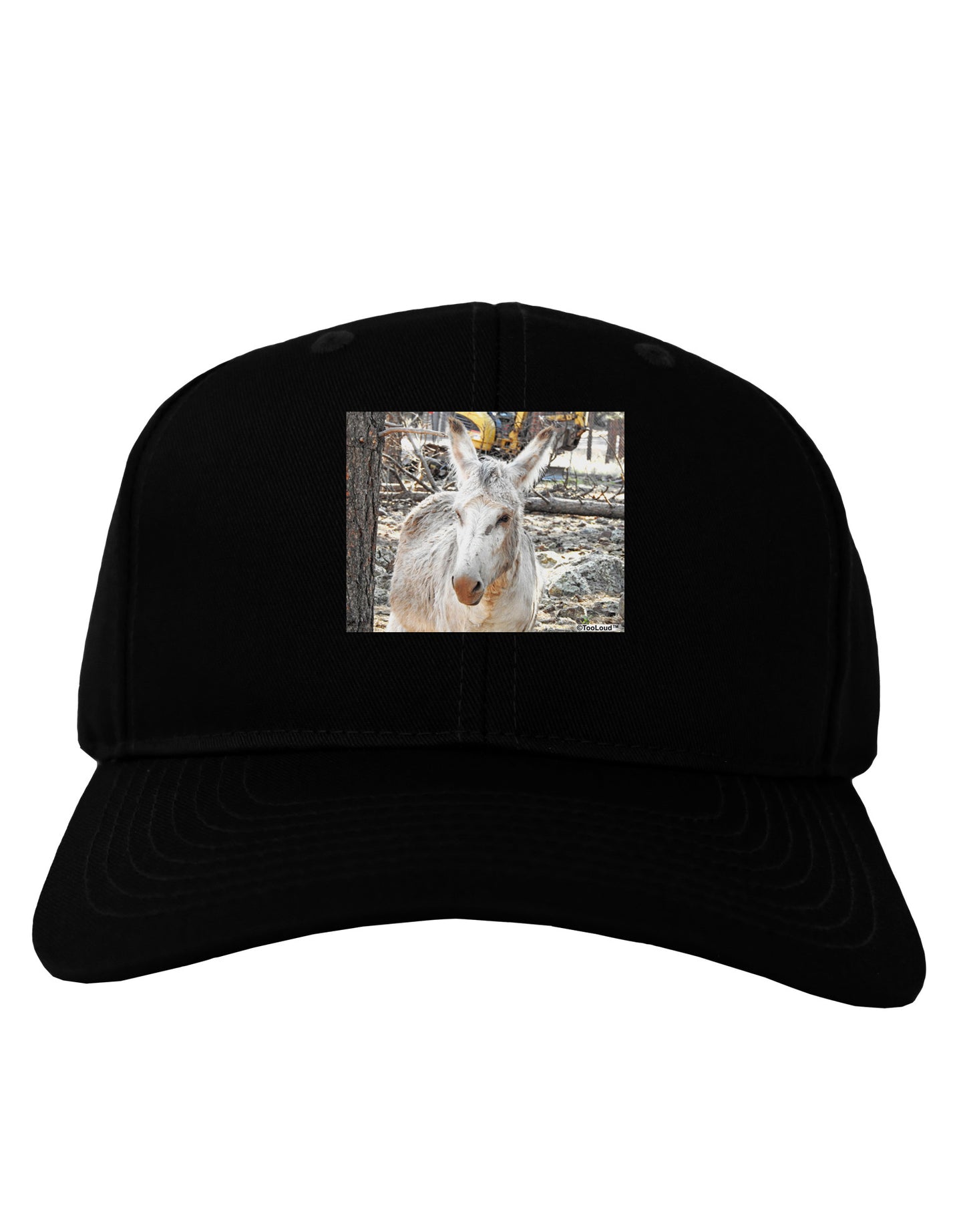 Troubled Burro Adult Dark Baseball Cap Hat-Baseball Cap-TooLoud-Black-One Size-Davson Sales