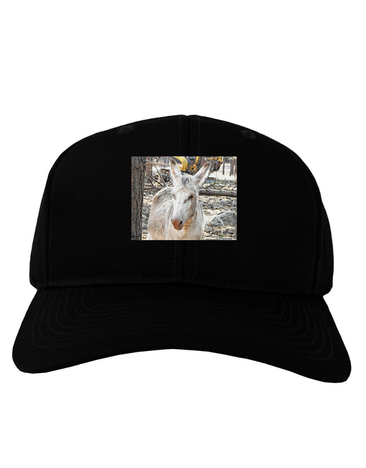 Troubled Burro Adult Dark Baseball Cap Hat-Baseball Cap-TooLoud-Black-One Size-Davson Sales