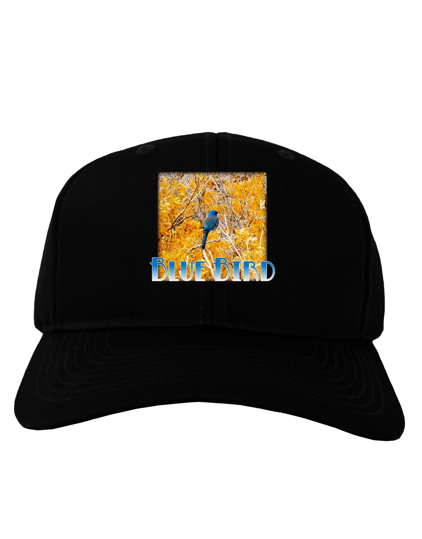 Blue Bird In Yellow Text Adult Dark Baseball Cap Hat-Baseball Cap-TooLoud-Black-One Size-Davson Sales