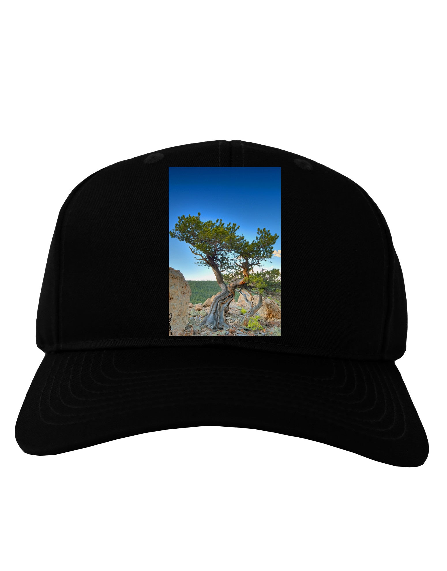 Colorado Landscape Tree Adult Dark Baseball Cap Hat-Baseball Cap-TooLoud-Black-One Size-Davson Sales