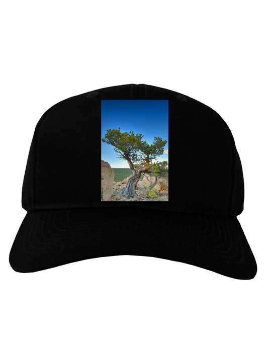 Colorado Landscape Tree Adult Dark Baseball Cap Hat-Baseball Cap-TooLoud-Black-One Size-Davson Sales